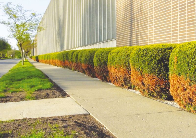 Salty Roadside And Sidewalk Edges