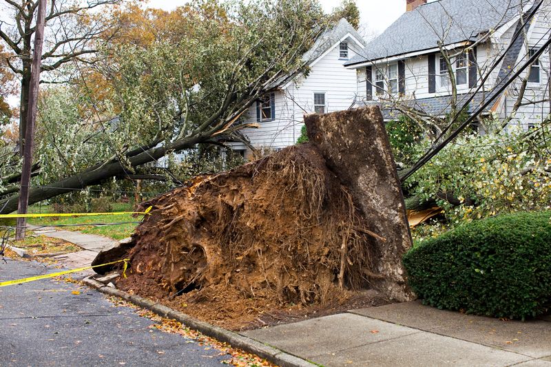 After damage, start with your insurer