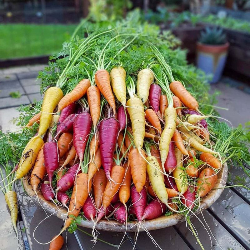 Carrots