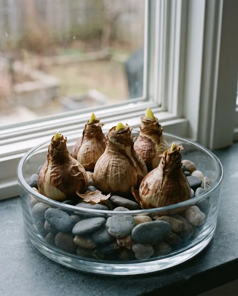 Build a shallow pebble bowl