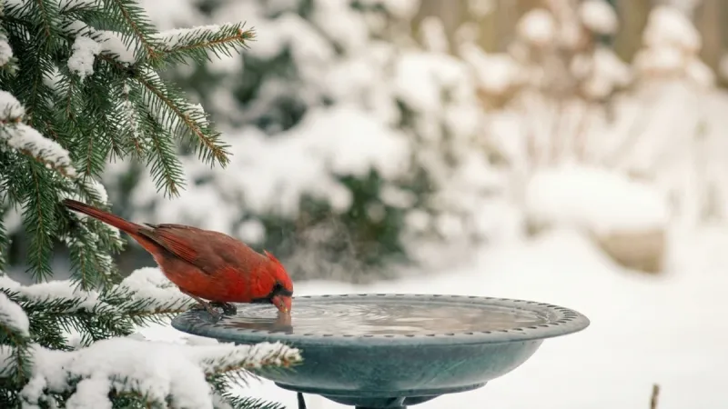 Provide a Reliable Water Source Year-Round