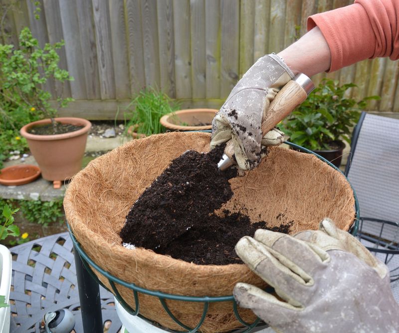 Check the Soil Daily Instead of Guessing