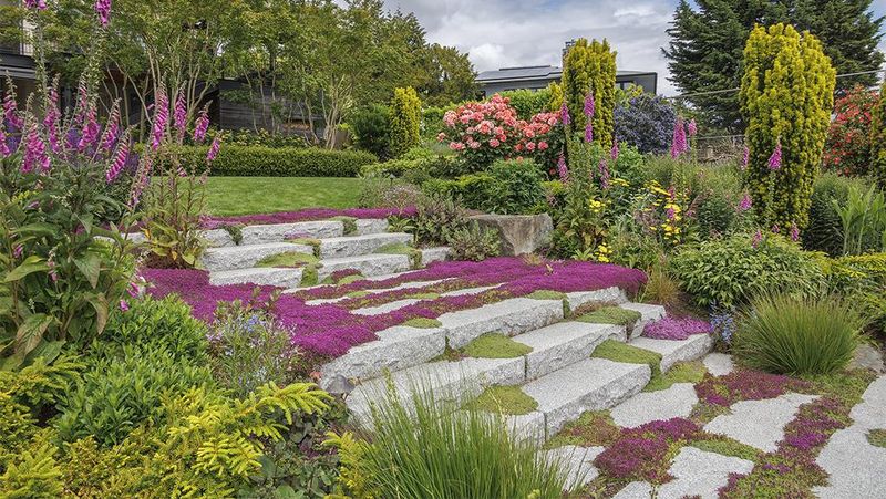 Beds Overrun By Aggressive Groundcovers