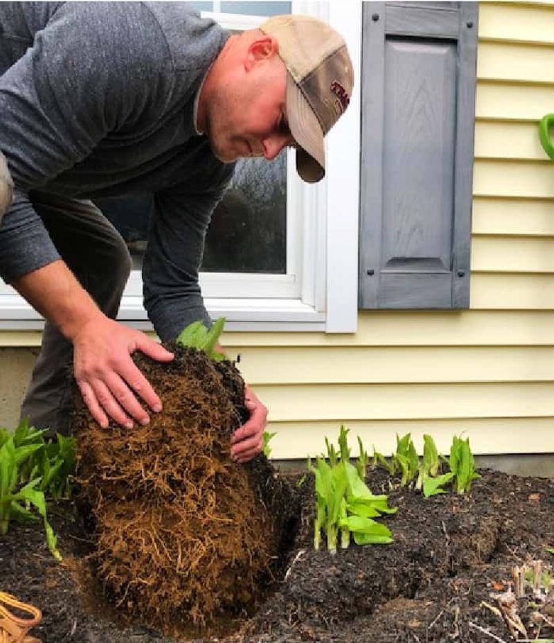 Recent Transplants Deserve the Closest September Attention
