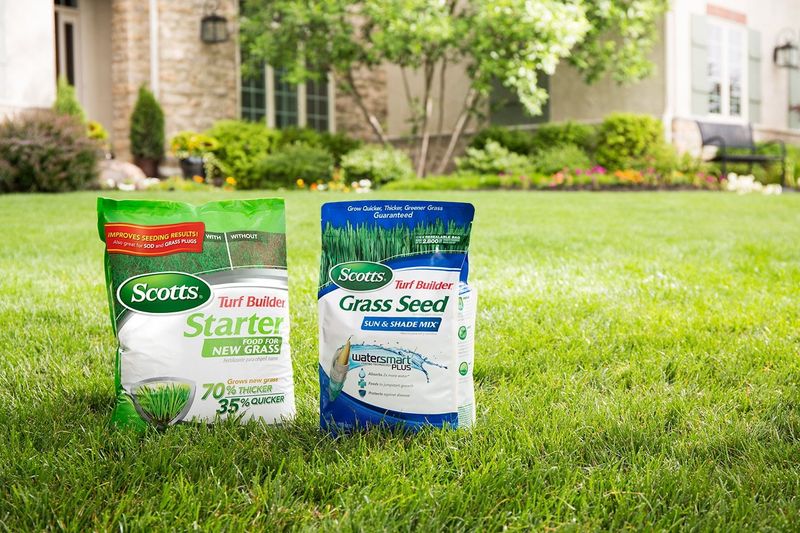 Feed With a Starter Fertilizer
