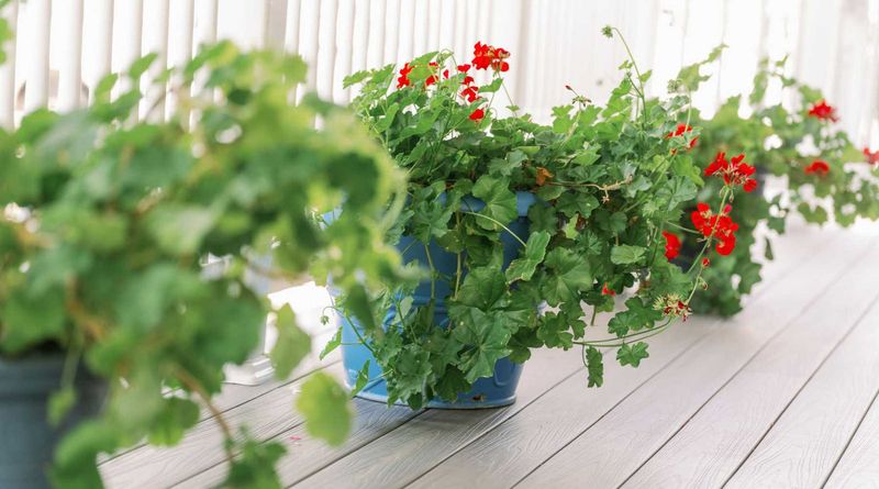Ensure Good Air Circulation