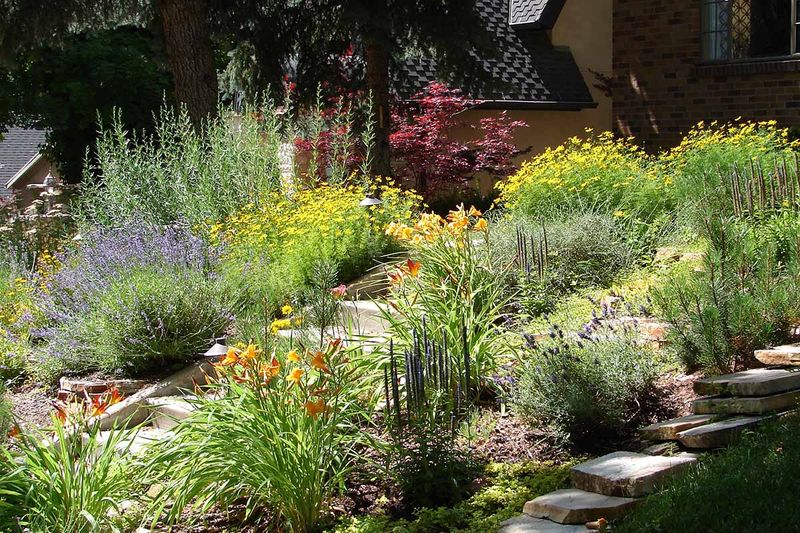 Planting in Drifts Instead of Fabric