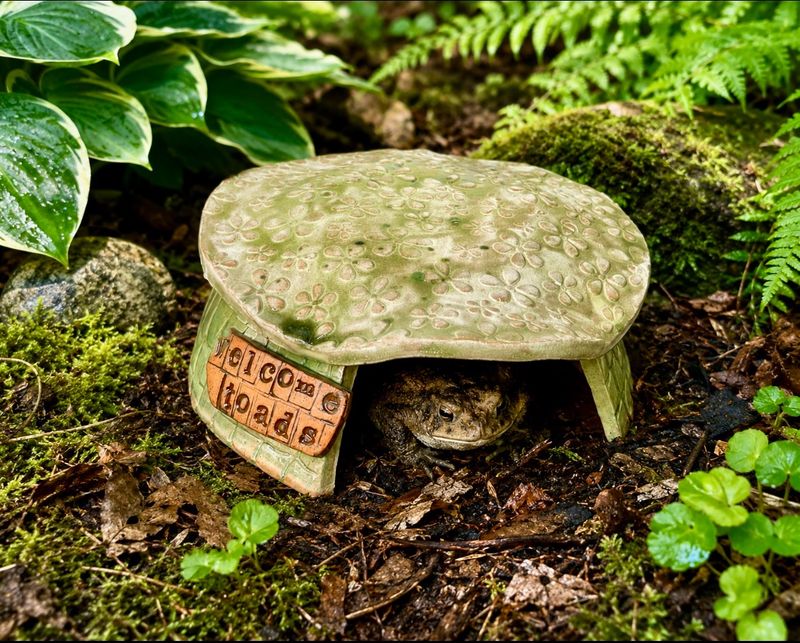 Inspect first, improve the yard carefully, and avoid overreading one absence