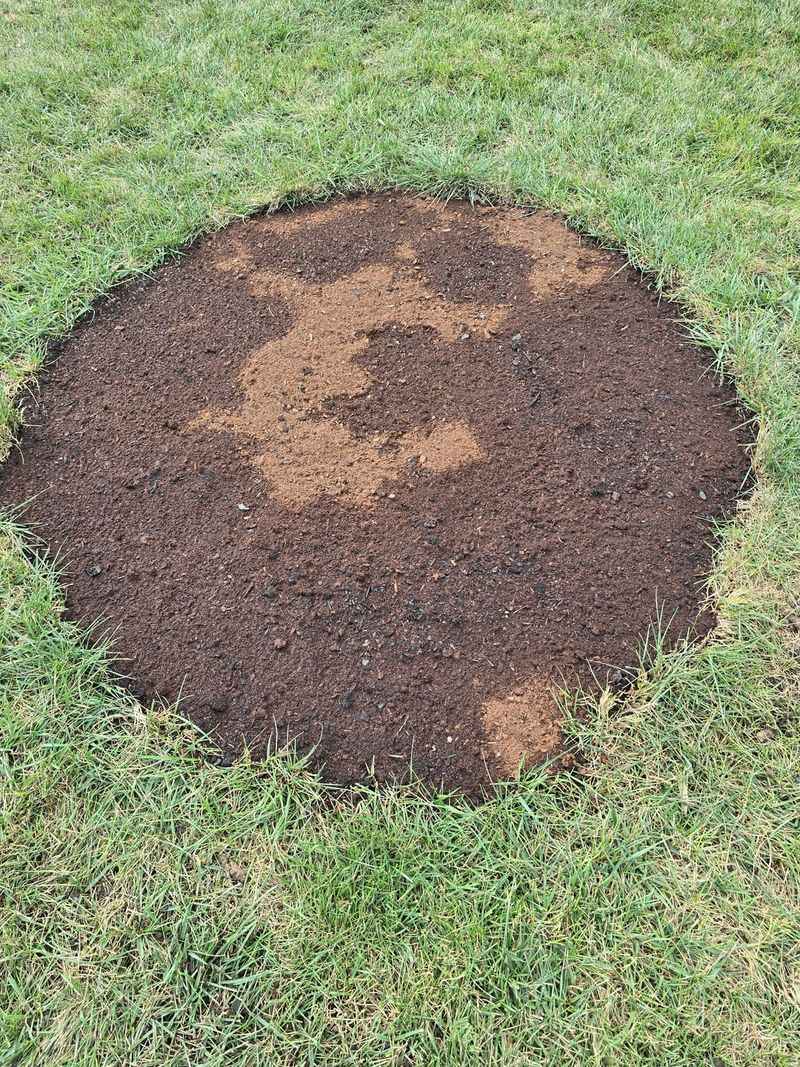 Lightly Cover the Seed