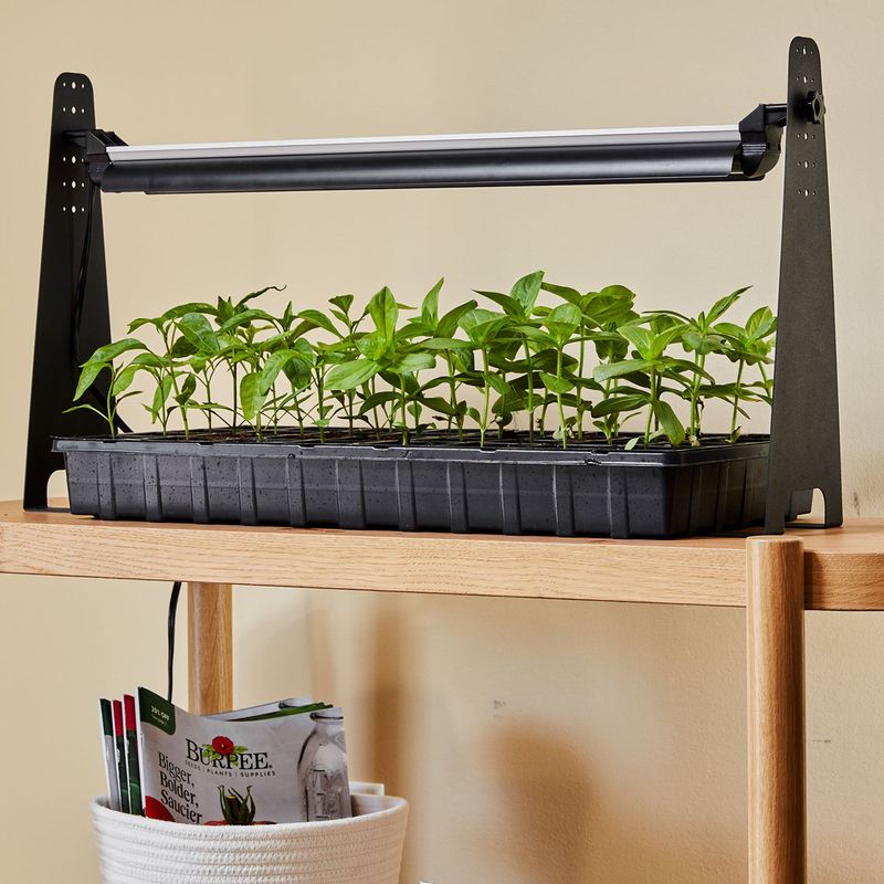 Add a Grow Light for Short Winter Days