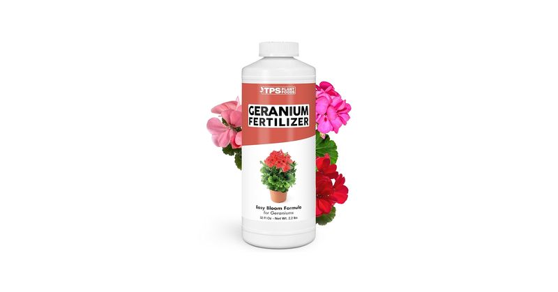 Apply liquid fertilizers at half the recommended strength
