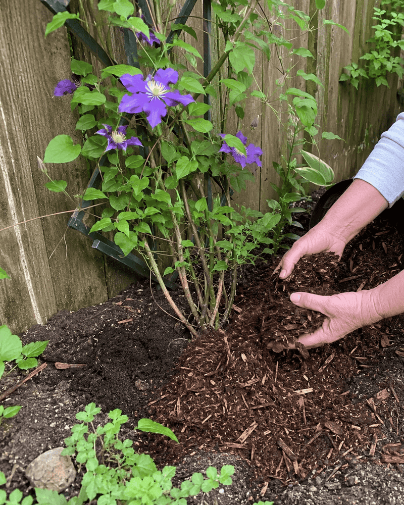 Spread a Thick Mulch Blanket