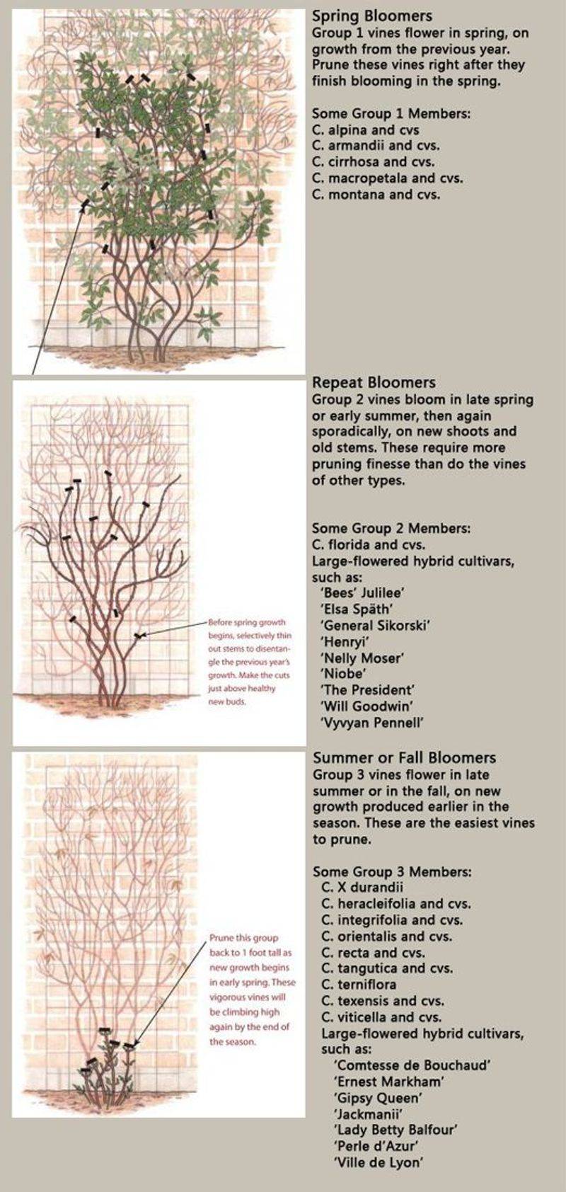 Match the reset to the plant and the calendar