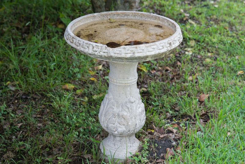 Control mosquito breeding water first