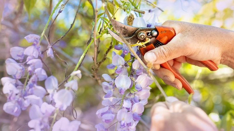 Pruning at the Wrong Time or Not Enough