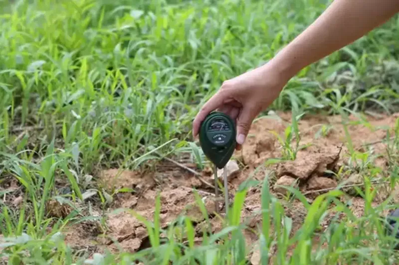 Skipping a Soil pH Check