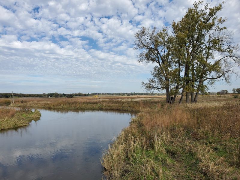 A glacial kettlehole began the bog's transformation
