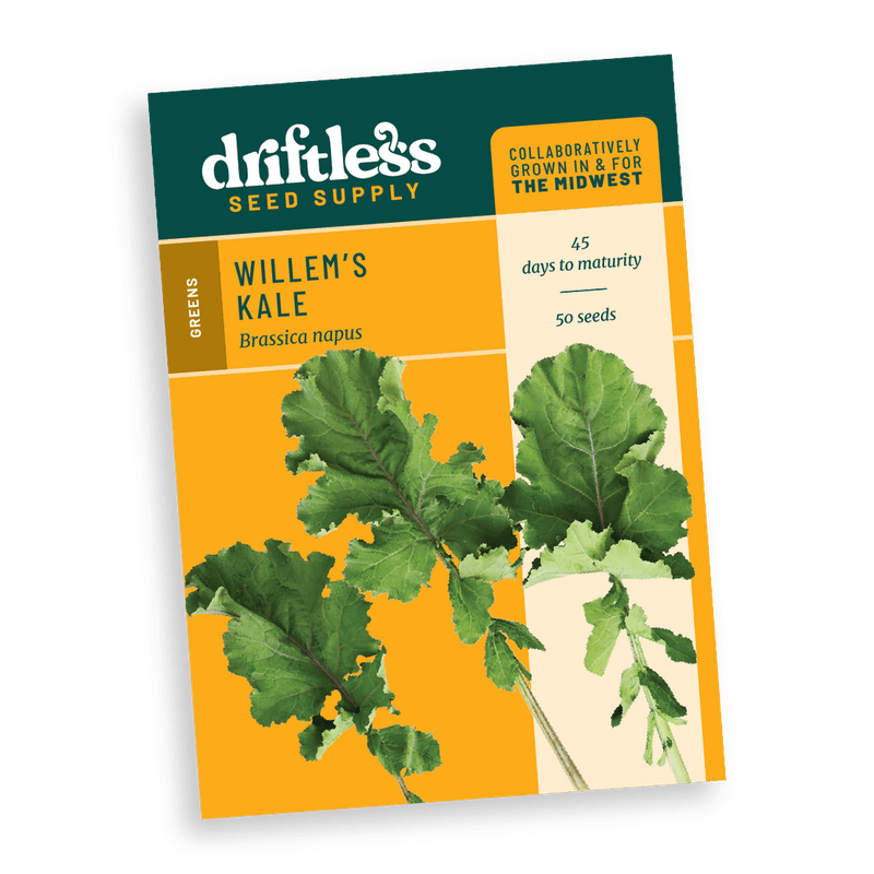 What cold can change inside kale