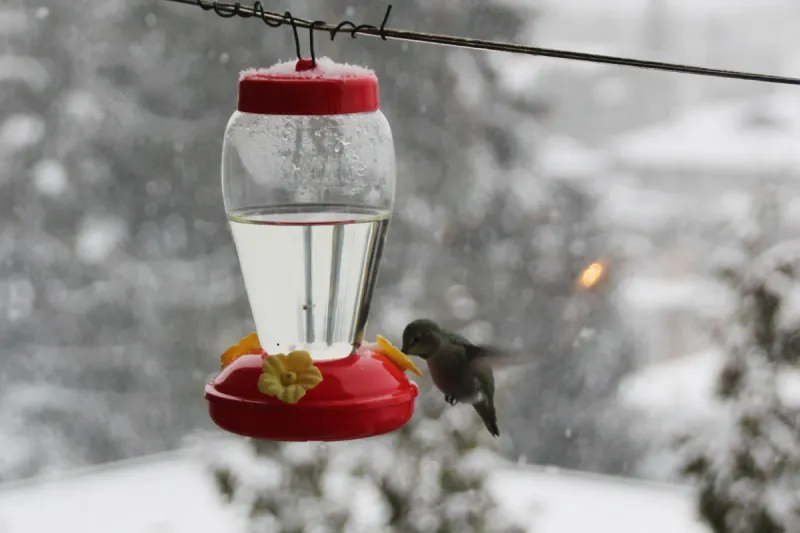 Freezing weather changes the care routine