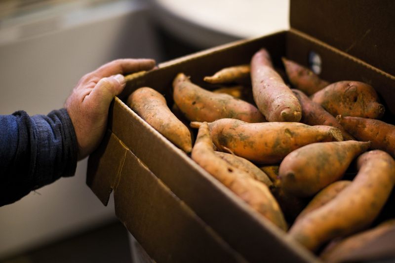 Cure Roots for Better Flavor and Longer Storage