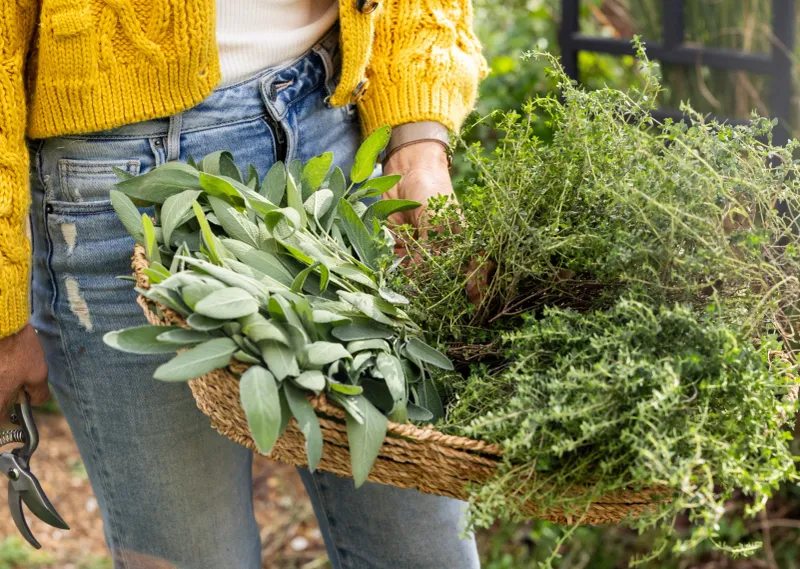 Turn the regional timing into a simple harvest checklist