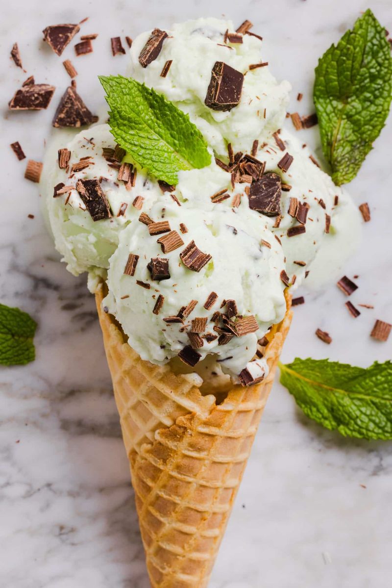 Mint Chocolate Chip Ice Cream