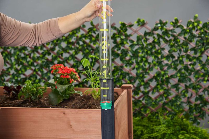 Match Watering to Your Soil and Rainfall