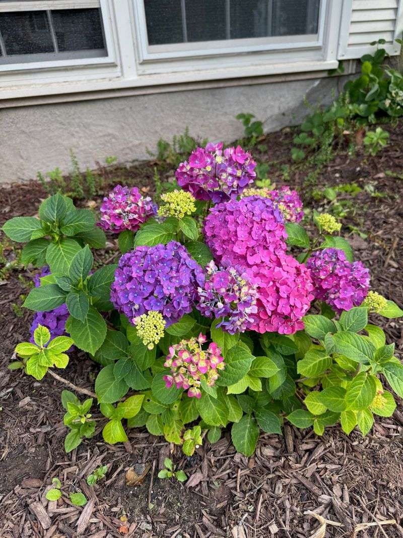 Aim for moist soil, not a daily watering ritual