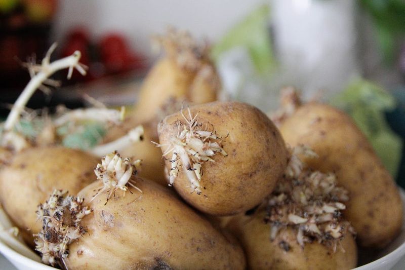 Keep cooked leftovers separate from raw-potato safety