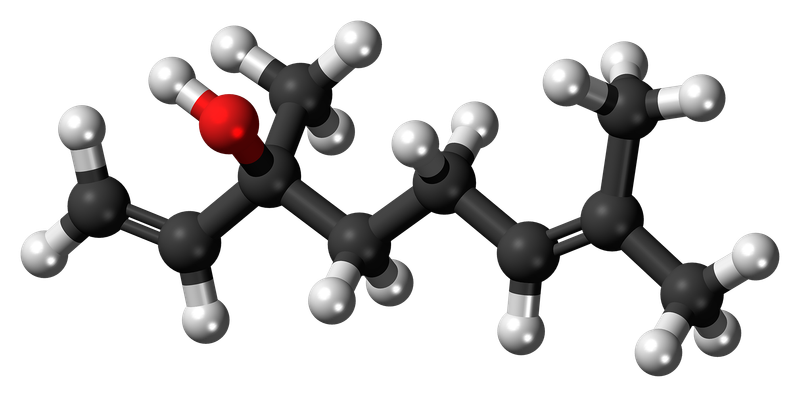 Linalool Is One Bay-Leaf Compound, Not a Proven Calming Agent