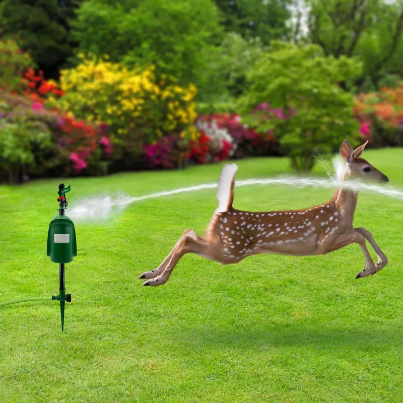 Set Up a Motion-Activated Sprinkler