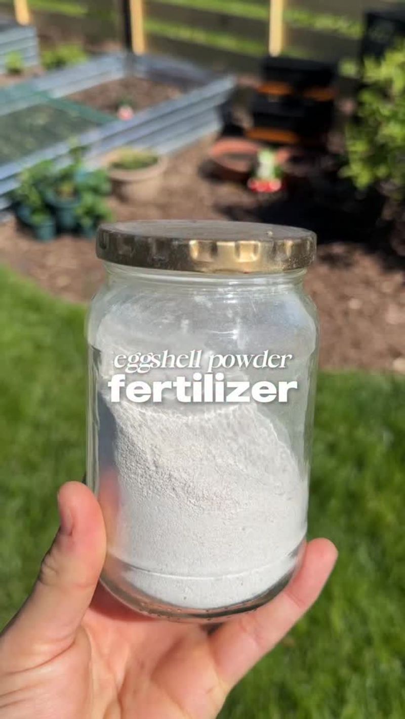 Finely Ground Eggshells