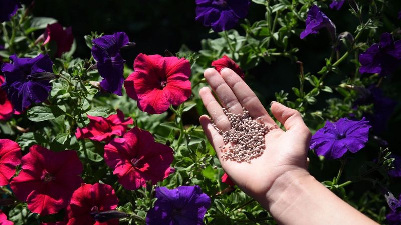 Skip the High-Nitrogen Fertilizer