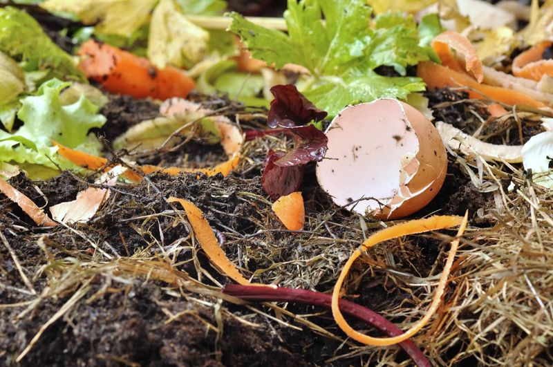 Vegetable Trimmings