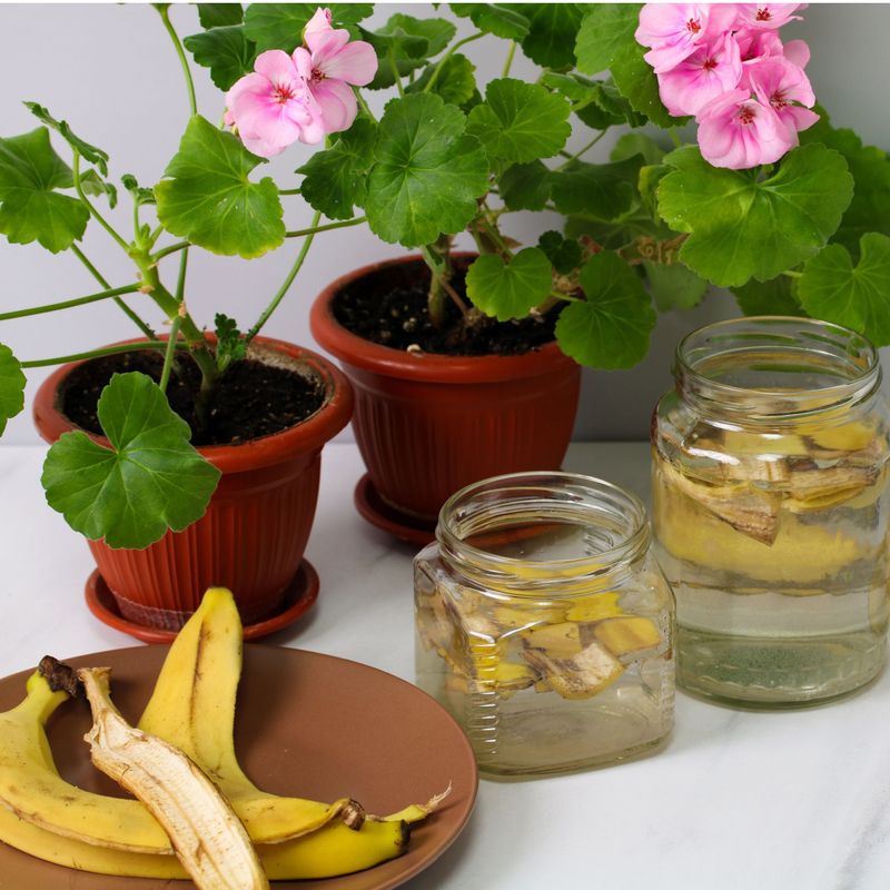 Use banana peels or banana peel tea