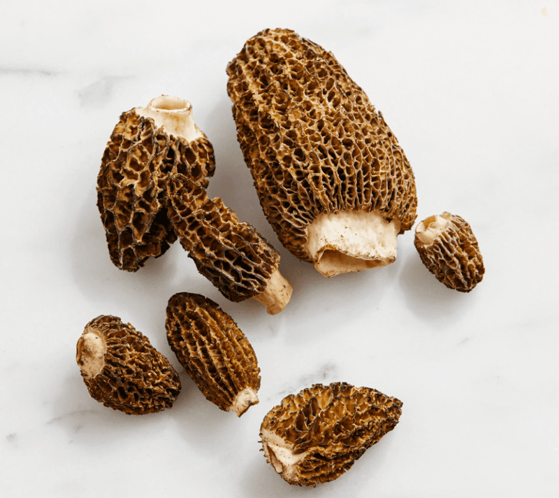 Morel Mushrooms