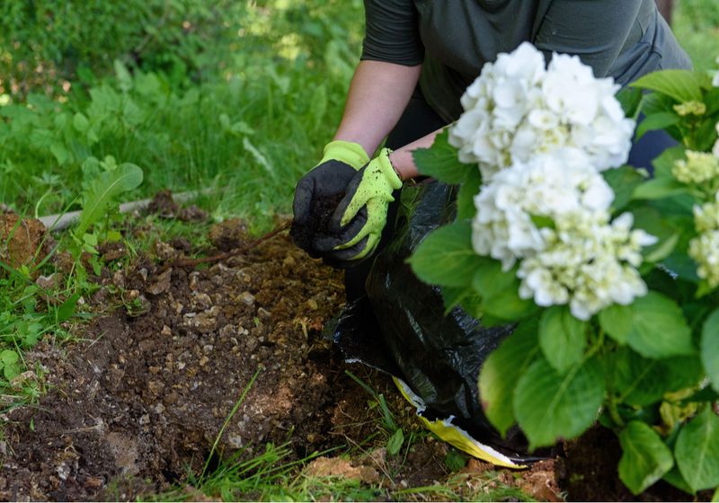 A new or poorly matched plant may need time
