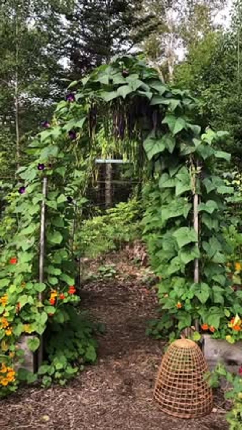 Improve airflow without stripping the plants