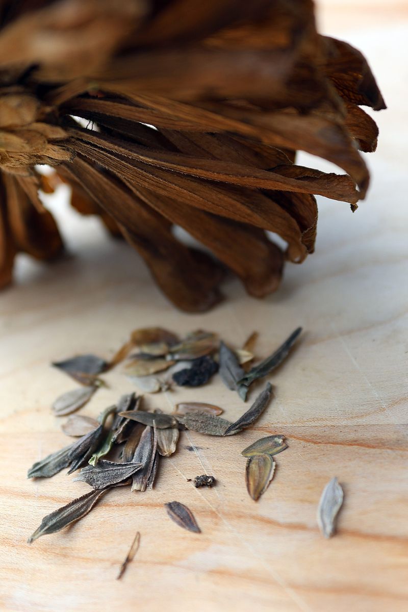 Dry the seed before storing it