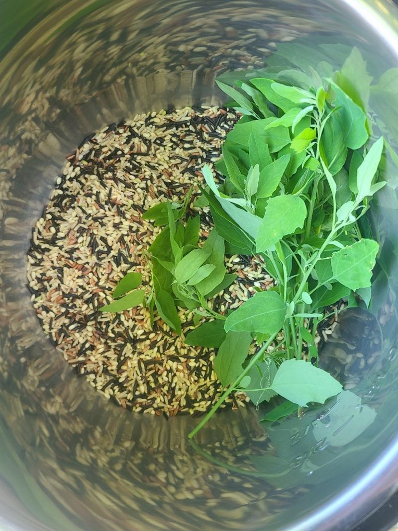 Corn and wild greens pot