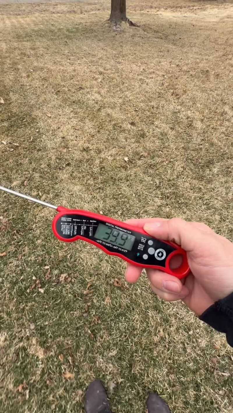 Time Your Planting Perfectly
