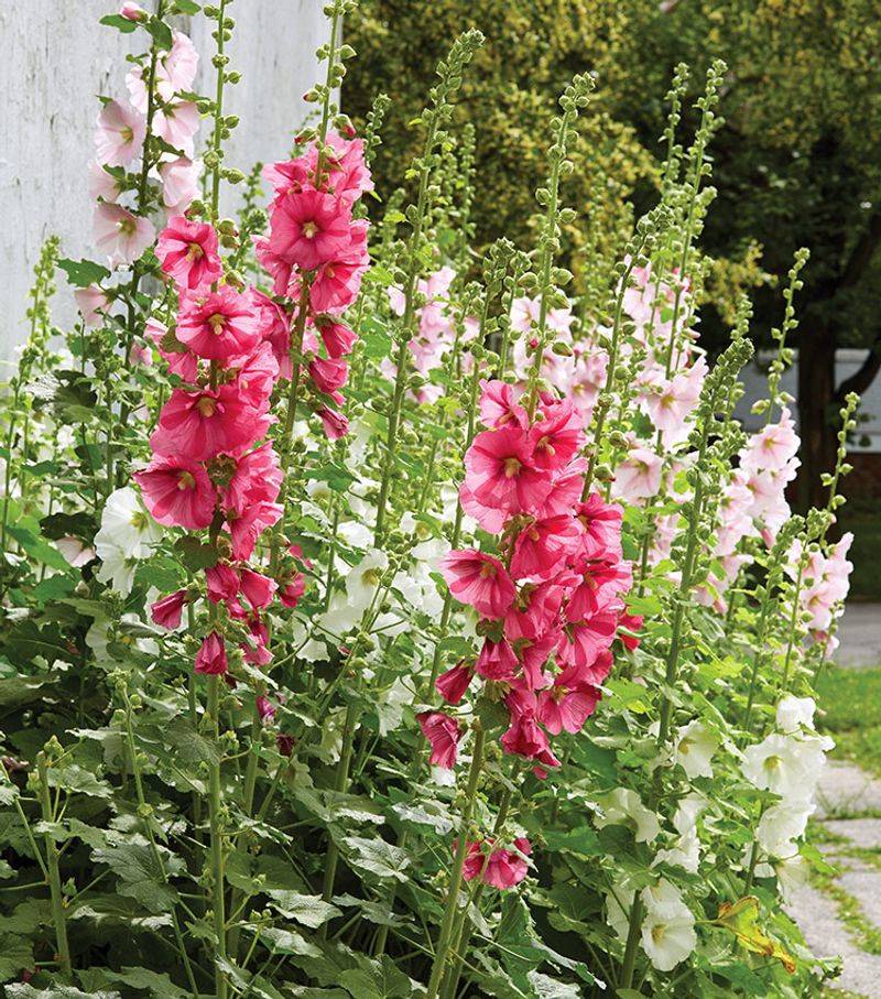 Start with the sunniest suitable site