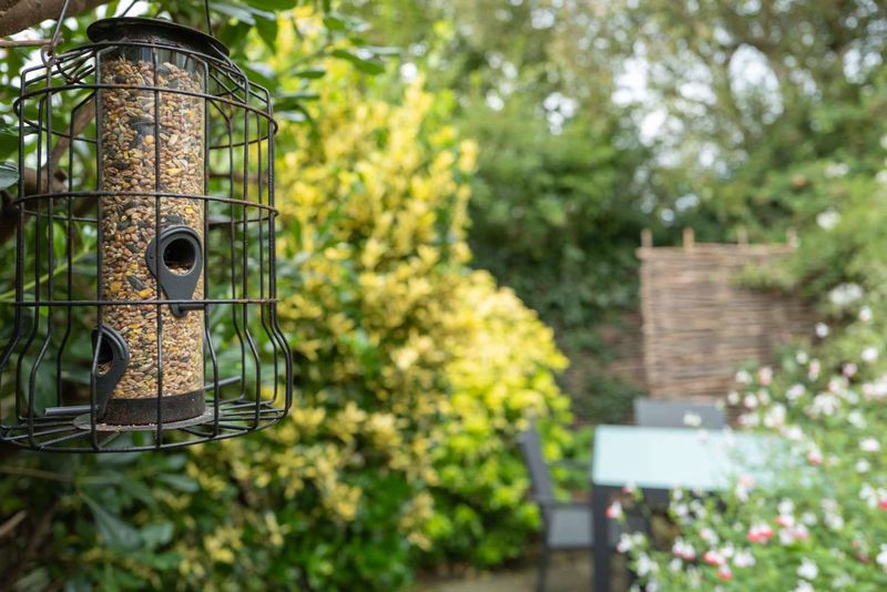 The Feeder Moved or Changed