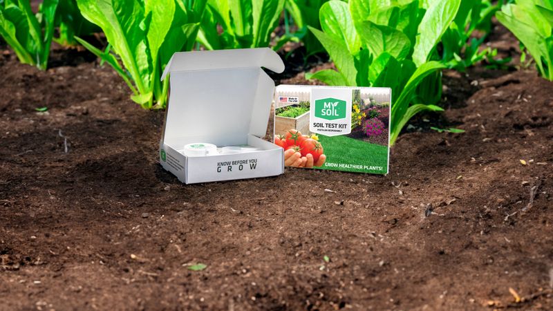 Use a soil test to guide decisions, not to predict the final bloom color