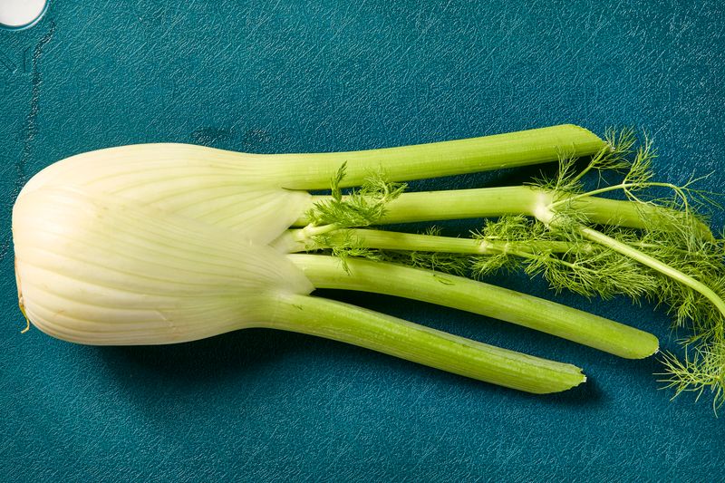 Fennel Fronds and Stems