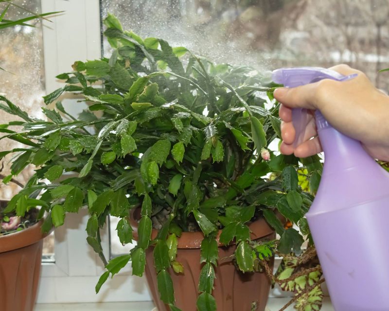 Increase Humidity
