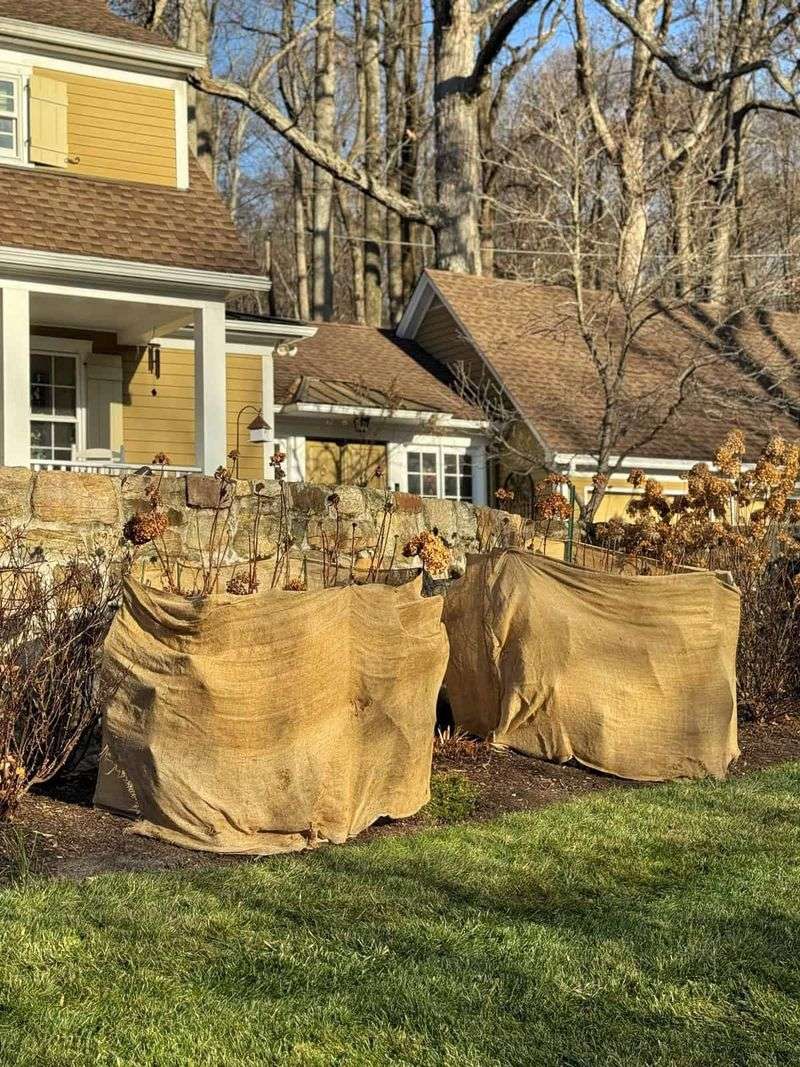 Protect Buds From Late Frost