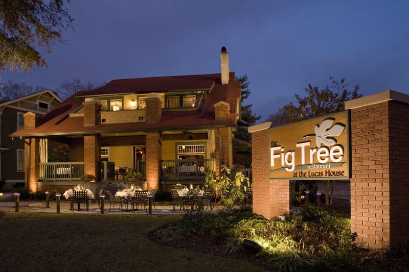 Charlotte: The Fig Tree Restaurant