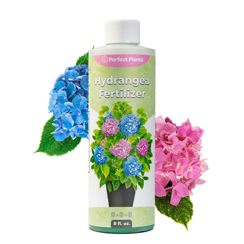 Use a Low-Nitrogen, High-Phosphorus Fertilizer