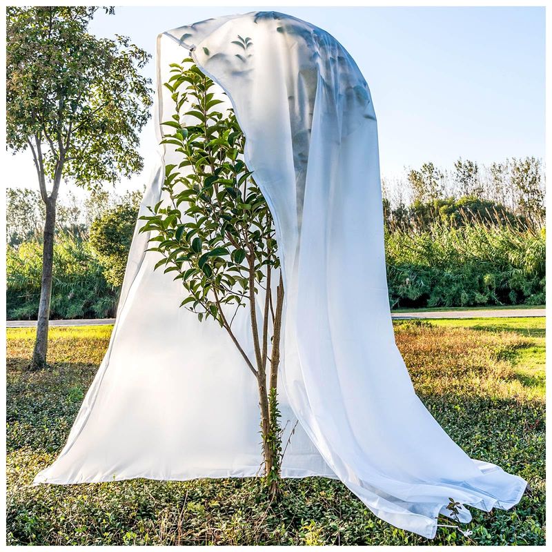 A frost cover protects the tree, not a guaranteed late harvest